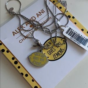 Alex and ani necklace